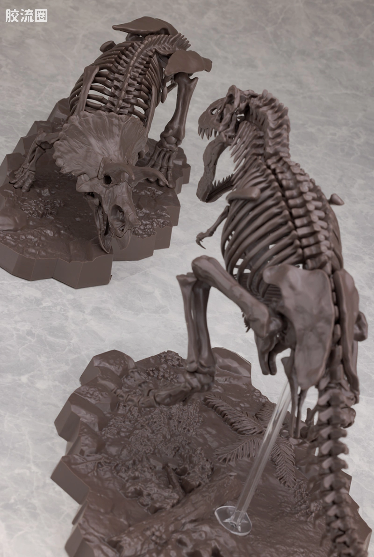 万代综合拼装模型系列 Imaginary Skeleton系列 三角龙 - 图片